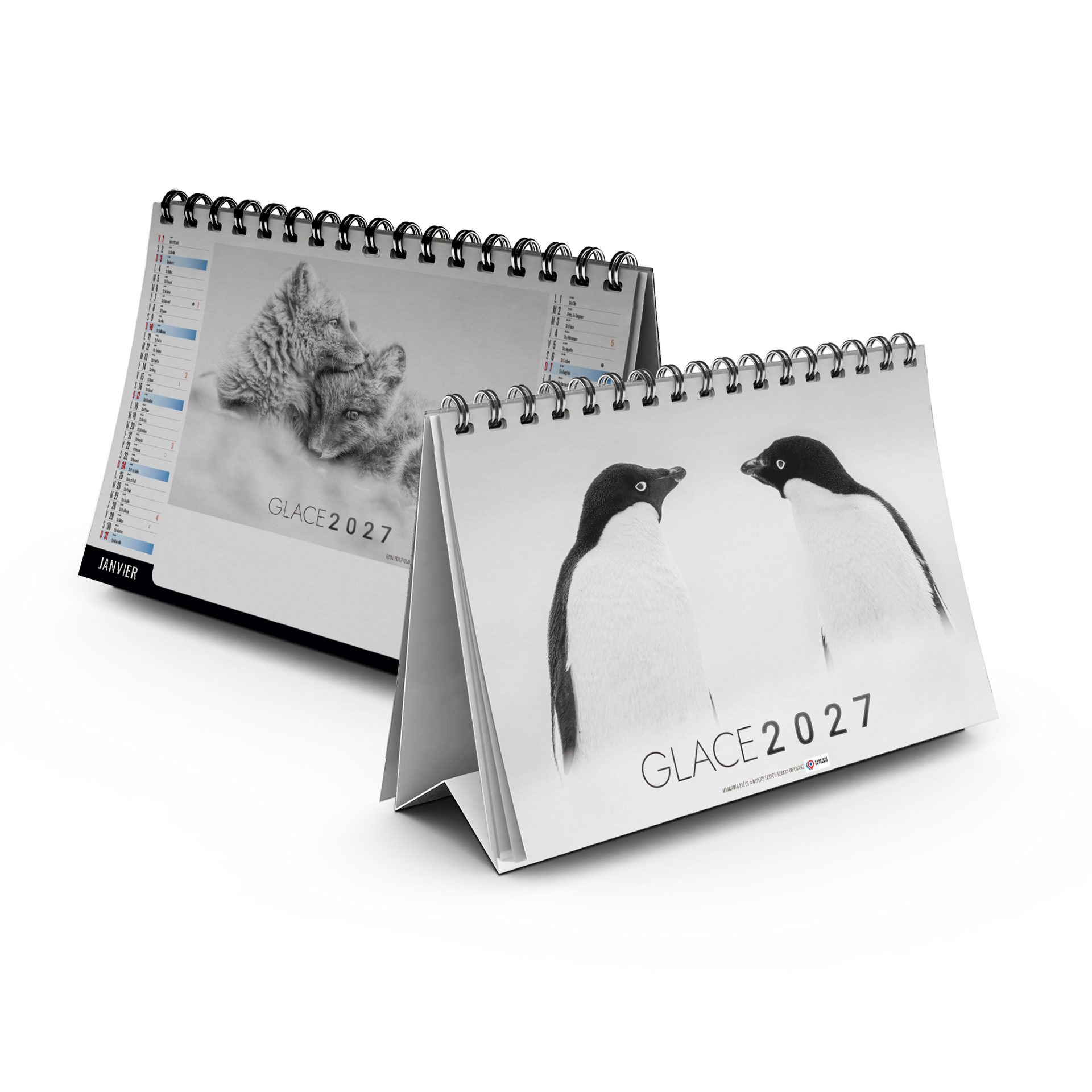 Glace 2027 — calendrier 2027 personnalisé