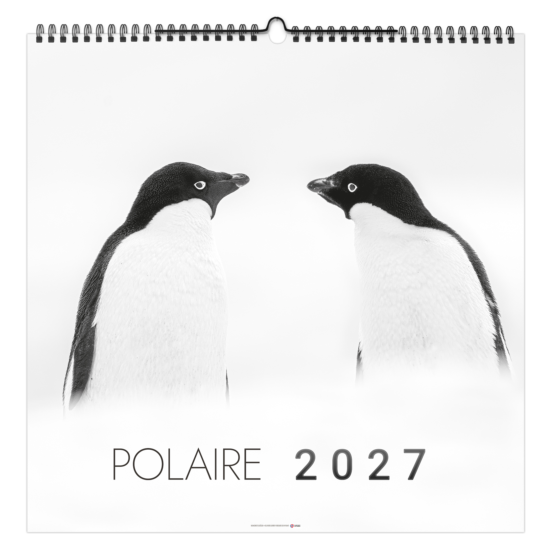 Polaire 2027 — calendrier 2027 personnalisé