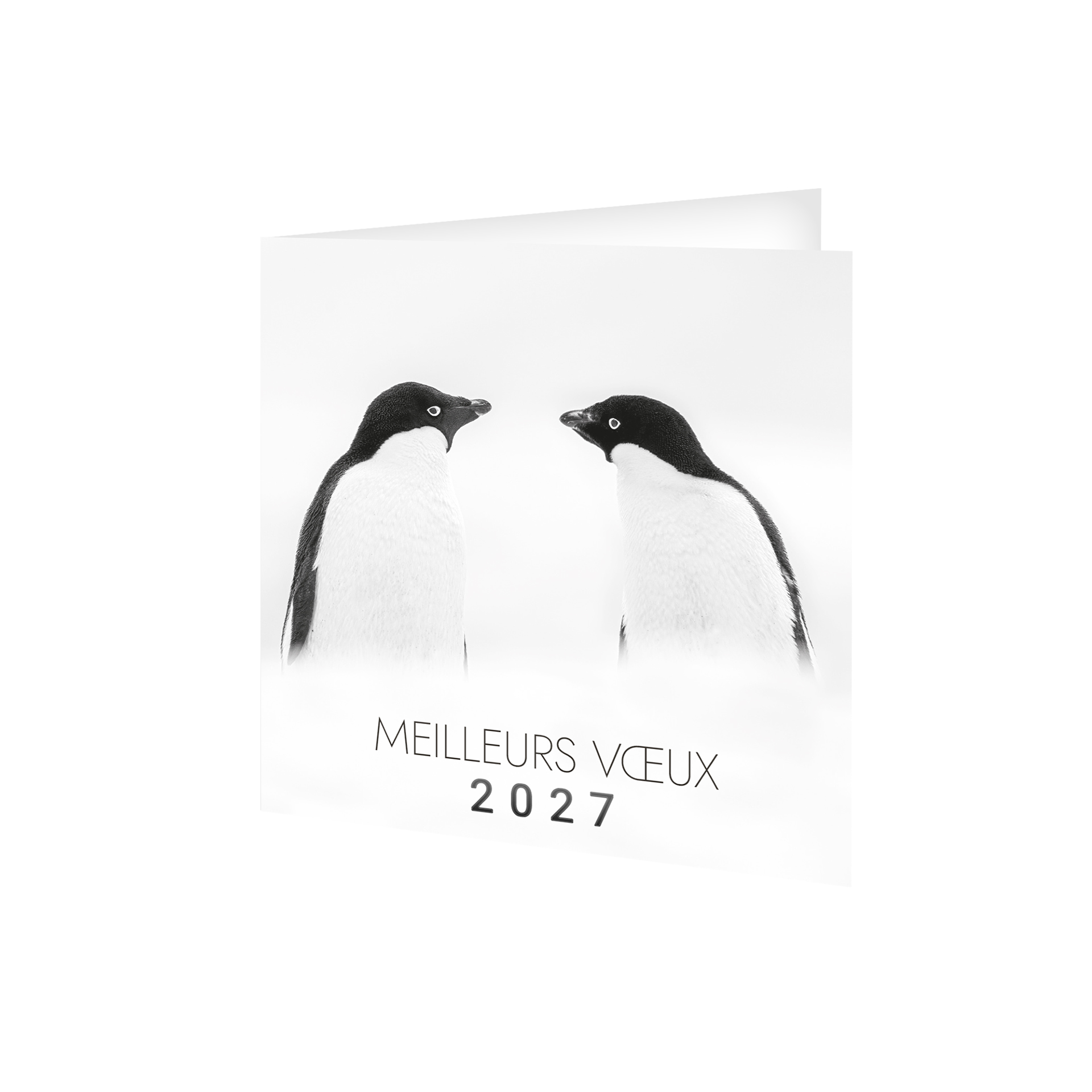 Froid 2027 — calendrier 2027 personnalisé